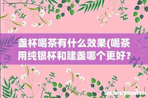喝茶用纯银杯和建盏哪个更好？ 盏杯喝茶有什么效果