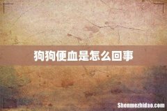 狗狗便血是怎么回事