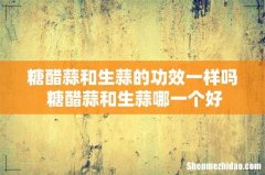 糖醋蒜和生蒜的功效一样吗 糖醋蒜和生蒜哪一个好