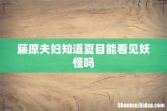 藤原夫妇知道夏目能看见妖怪吗