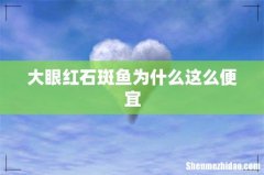大眼红石斑鱼为什么这么便宜