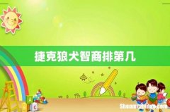 捷克狼犬智商排第几
