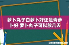 萝卜丸子白萝卜好还是青萝卜好 萝卜丸子可以放几天