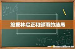 绝爱林启正和邹雨的结局