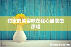 甜蜜的笑容映在我心里歌曲原唱