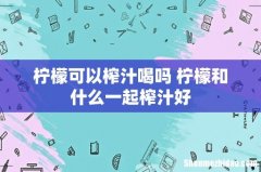 柠檬可以榨汁喝吗 柠檬和什么一起榨汁好