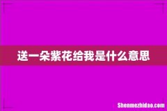 送一朵紫花给我是什么意思