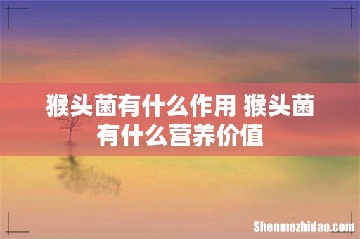 猴头菌有什么作用 猴头菌有什么营养价值