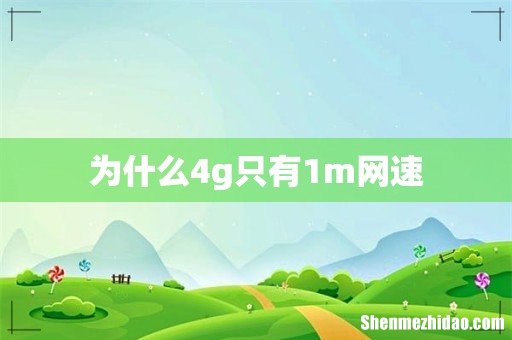 为什么4g只有1m网速