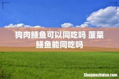 狗肉鳝鱼可以同吃吗 菠菜鳝鱼能同吃吗