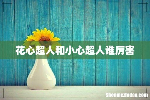 花心超人和小心超人谁厉害