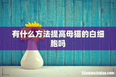 有什么方法提高母猫的白细胞吗