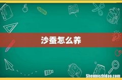 沙蚕怎么养