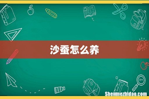沙蚕怎么养