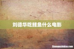 刘德华吃鲤鱼什么电影