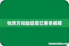 恍然方知劫回首已寒冬解释