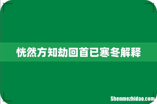 恍然方知劫回首已寒冬解释