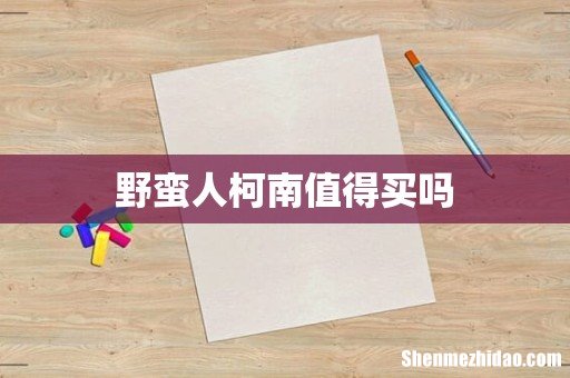 野蛮人柯南值得买吗