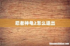 忍者神龟2怎么退出