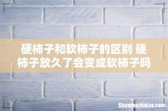 硬柿子和软柿子的区别 硬柿子放久了会变成软柿子吗