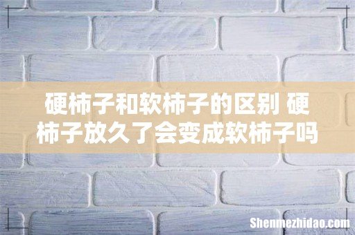 硬柿子和软柿子的区别 硬柿子放久了会变成软柿子吗
