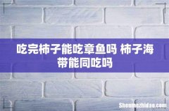 吃完柿子能吃章鱼吗 柿子海带能同吃吗