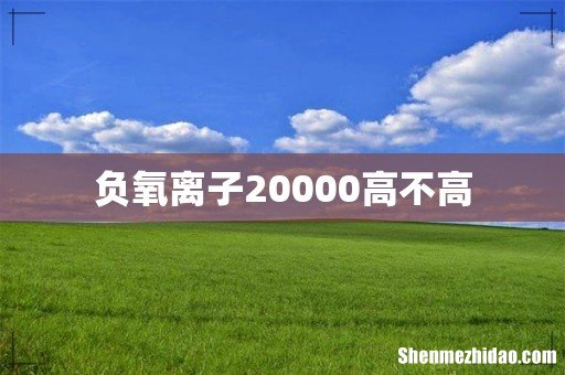 负氧离子20000高不高