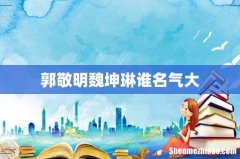 郭敬明魏坤琳谁名气大