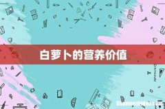 白萝卜的营养价值