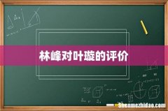 林峰对叶璇的评价