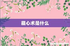 藏心术是什么