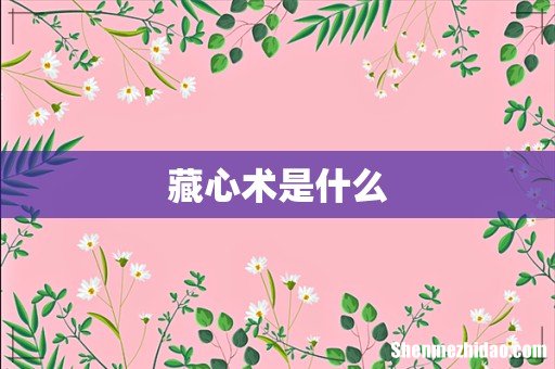 藏心术是什么