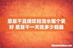 桑葚干直接吃和泡水哪个更好 桑葚干一天吃多少颗最佳