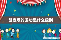 胡彦斌的唱功是什么级别