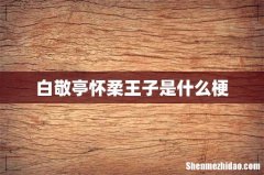 白敬亭怀柔王子是什么梗