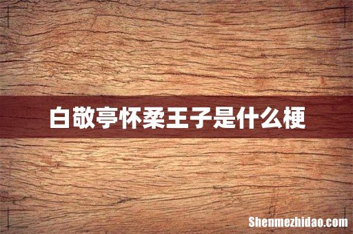 白敬亭怀柔王子是什么梗