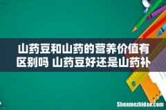 山药豆和山药的营养价值有区别吗 山药豆好还是山药补肾好