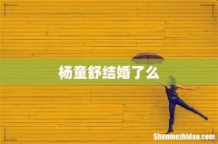 杨童舒结婚了么