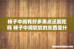 柿子中间有好多黑点还能吃吗 柿子中间软软的东西是什么