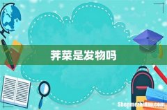 荠菜是发物吗