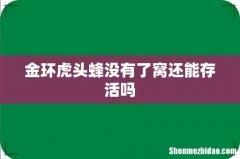 金环虎头蜂没有了窝还能存活吗