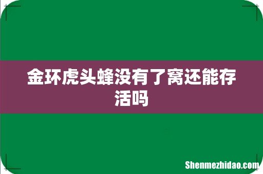 金环虎头蜂没有了窝还能存活吗