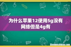 为什么苹果12使用5g没有网络但是4g有