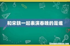 和宋轶一起表演春晚的是谁