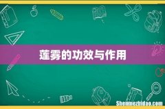 莲雾的功效与作用