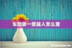 车险第一受益人怎么查