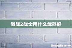 激战2战士用什么武器好