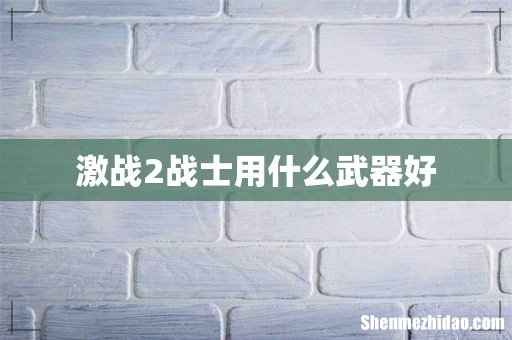 激战2战士用什么武器好