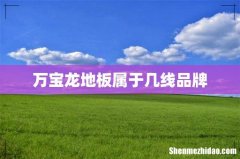 万宝龙地板属于几线品牌