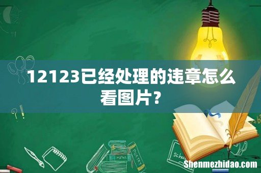 12123已经处理的违章怎么看图片?